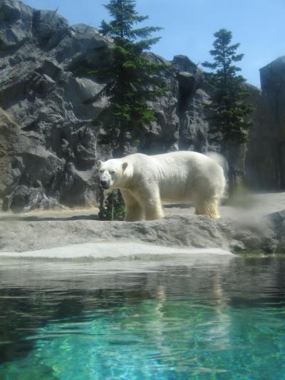 １泊２日北海道旅行