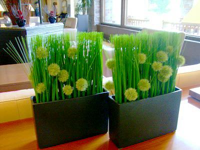 白馬、穂高、松本ぶらり旅 花だより