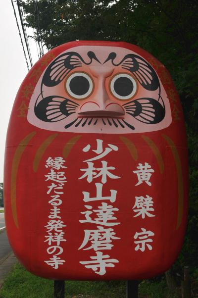 JR東日本 駅からハイキング「大パノラマ『鼻高展望花の丘』と『だるま』で名高い『少林山』ハイキング」