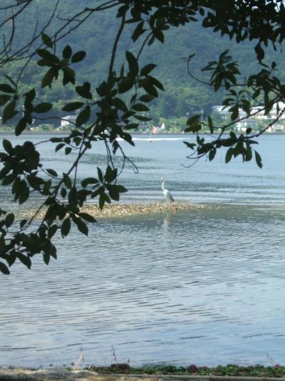 カニ旅行下調べ