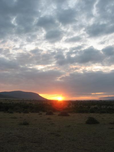 初めてのケニアの旅～マサイ・マラ国立公園２～