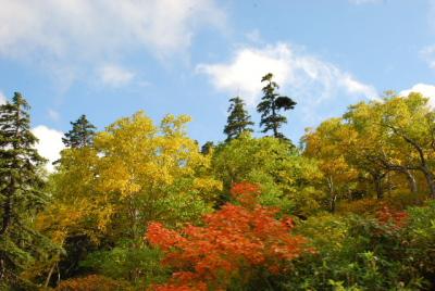 ぶらりとお散歩『日本で一番早い紅葉を見る』