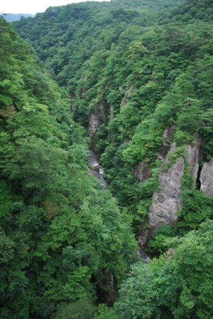 東北早回り旅！！（鳴子峡）