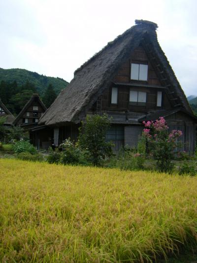 ☆白川郷・立山黒部アルペンルート研究室旅行☆　その１