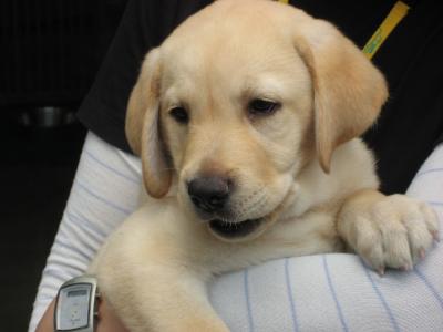 富士山と富士サファリパークの旅　１／２