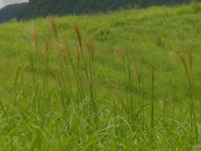伊賀上野・青山・曽爾高原ドライブ