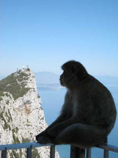 南ヨーロッパとモロッコの旅?