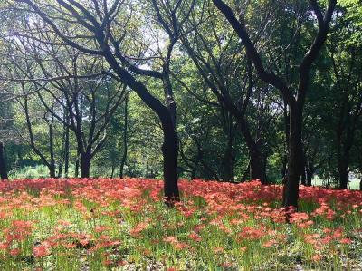 Nature Garden ～2008仲秋～