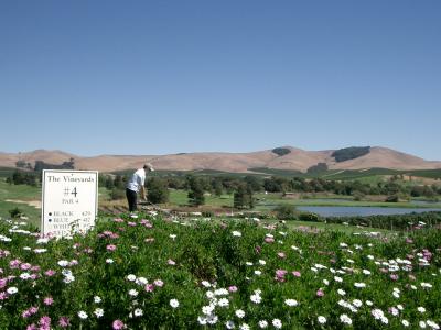 San Jose & Napa Valley 2007 