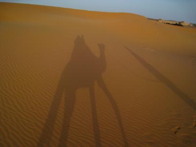 モロッコ世界遺産の旅?サハラ砂漠～フェズ