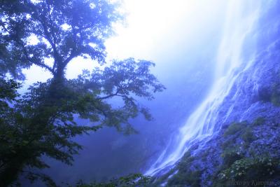 『日本の滝百選』　雲上の天より降り注ぐは但馬三瀑「天滝」なり。。氷ノ山を源とする天滝渓谷　兵庫県養父市（氷ノ山後山那岐山国定公園）