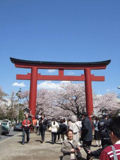鎌倉花見2008