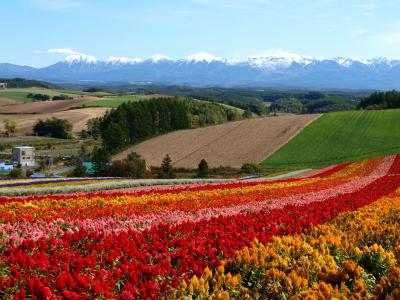 秋色の北海道へ（前編）