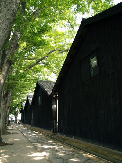 日本海北上ドライブ（１）　酒田の山居倉庫