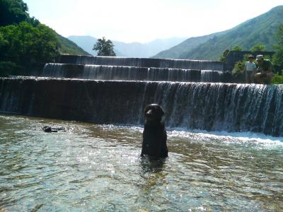 白馬で川遊び