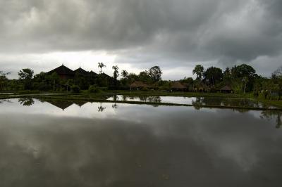 インドネシア 一人旅 1　　　　　 雨の朝、ウブドを歩く（カラーモノクロ）