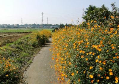 秋風サイクリング?　内牧公園