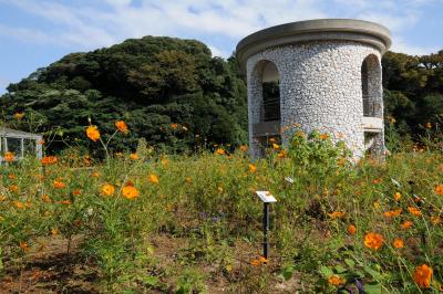 くりはま花の国とペリー公園