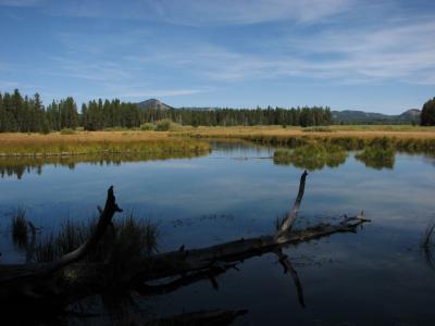 ワイオミング州の国立公園を歩く(06) Grand Teton N.P.：Hermitage Point Trails ～2008年夏休み～