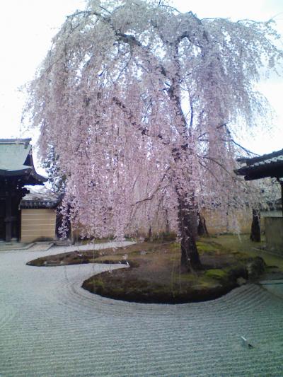☆京都一人旅☆