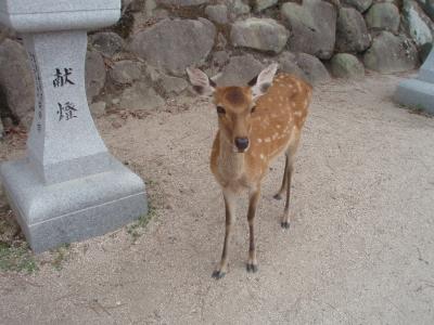 世界遺産を堪能しよう☆