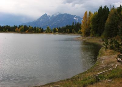 ワイオミング州の国立公園を歩く(07) Grand Teton N.P.：Lakeshore Trail ～2008年夏休み～