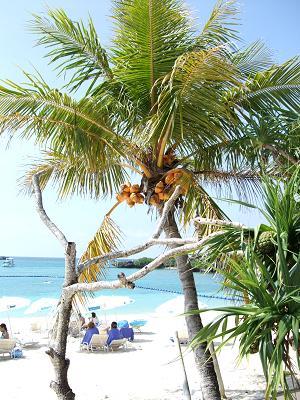 沖縄本島中部でダイビングと。。。