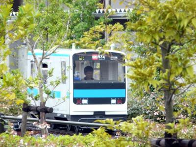 ５．鉄道博物館のミニ運転列車 お召列車他　大宮大成鉄道村のお食事処 展望車の昼食
