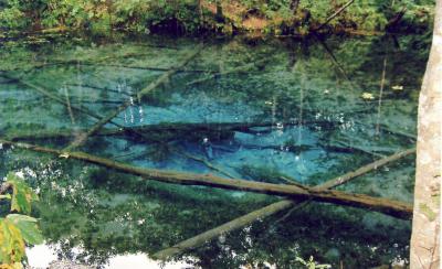 自然たっぷり北海道 ? 神秘の青さ、神の子池