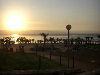 ヨルダン・シリア旅行記＆ダイビング　（5日目）