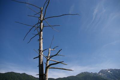 信州に着いたら梅雨が明けた～?上高地編