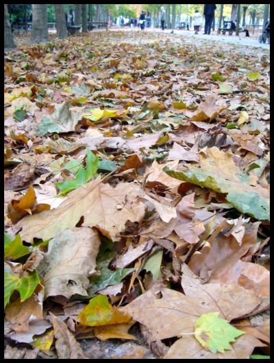  ■リュクサンブルグ公園Jardin du Luxembourg１０月８日