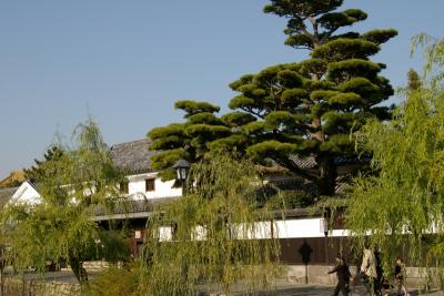 美観の町めぐり