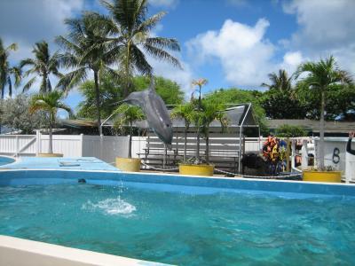 フラ三昧のHawaii　?　初日、無料クーポンで満喫