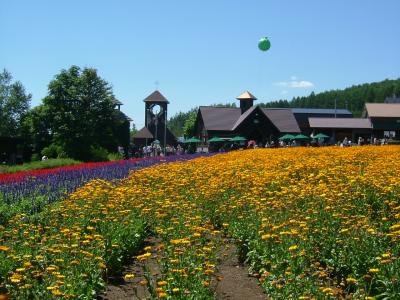 北海道の休日。　富良野お花畑編