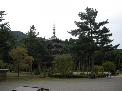 京都：醍醐寺でリフレッシュ！