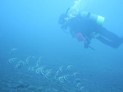 三宅島は、ビーチも最高！