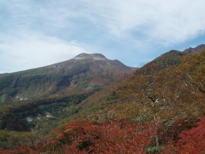 那須の紅葉＆アルパカ牧場