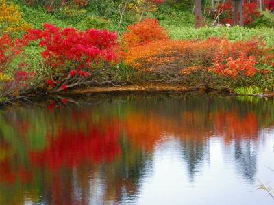 草津の紅葉で(?)お腹いっぱい・・・