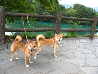 福島・那須旅行