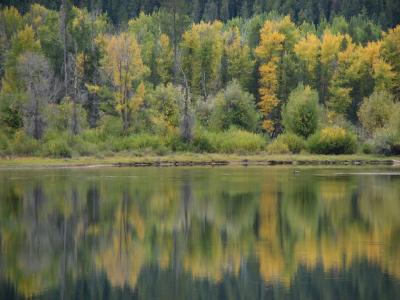 ワイオミング州の国立公園を歩く(08) Grand Teton N.P.：見どころをいくつか ～2008年夏休み～