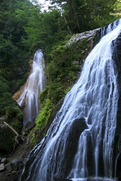 『日本の滝百選』　「三本滝」とは名の通り、趣の異なる三つの滝が一か所に合流します。　/長野県松本市　乗鞍岳　乗鞍高原　　乗鞍三滝