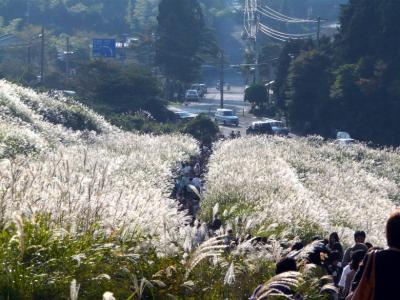 ２．東急ハーヴェストクラブＶＩＡＬＡ（ヴィアラ）箱根翡翠　箱根甲子園　仙石原のススキ　カフェジュリア