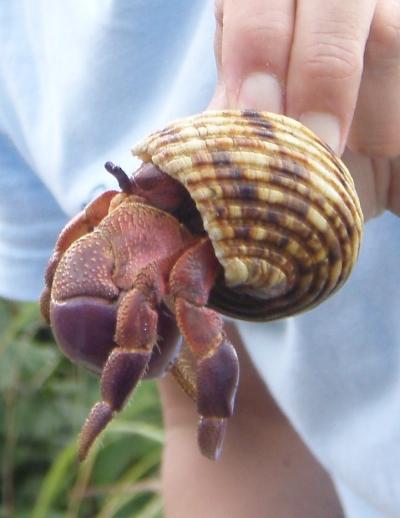 ★美しき宮古島★満喫の旅 2 ~島北部と堤防釣り編~