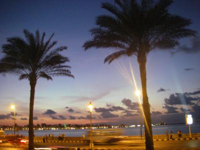 アレキサンドリア ショートトリップ （2008/10）