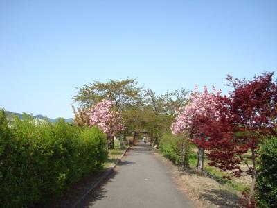 20080504 山形県置賜郡高畠町