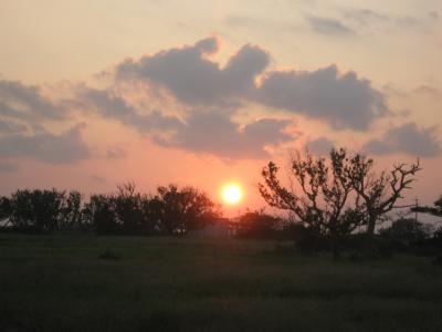 黒島の夕日・日の出　総本家黒島・パナリ300撰　創業慶応壹佰肆拾肆年宮内省御用無し　2008年10月