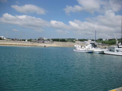 ぷらっと沖縄！　アオリイカ