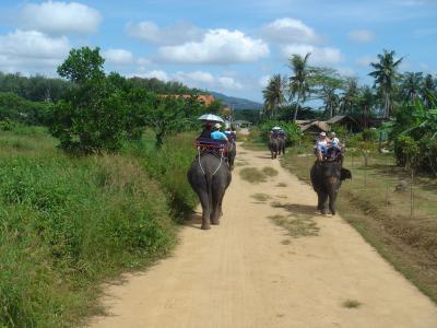 満喫プーケット3泊5日の旅?♪