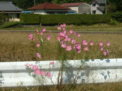 2008  年に一回ではないのですが‥志摩まで米ツアー＆大山田温泉